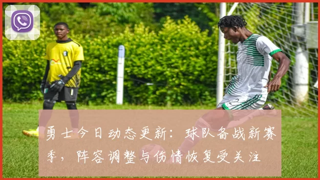 勇士今日动态更新：球队备战新赛季，阵容调整与伤情恢复受关注