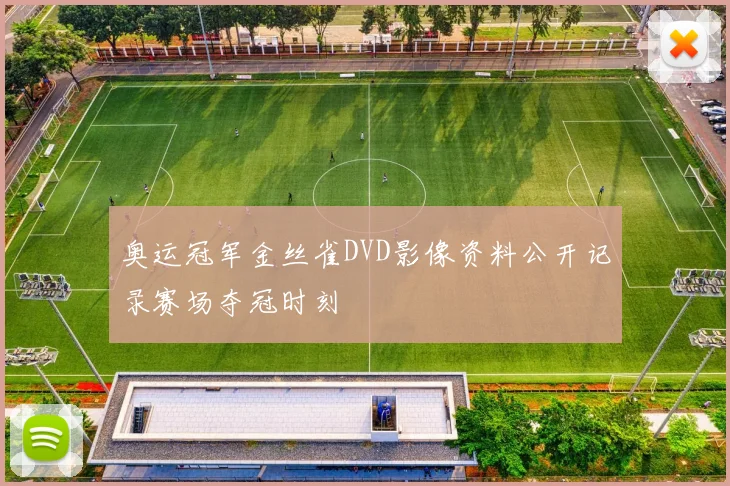奥运冠军金丝雀DVD影像资料公开记录赛场夺冠时刻