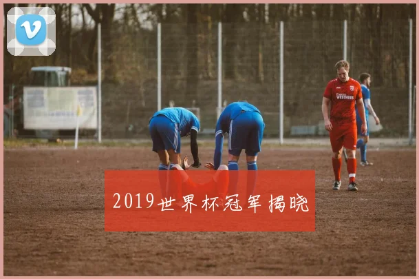 2019世界杯冠军揭晓
