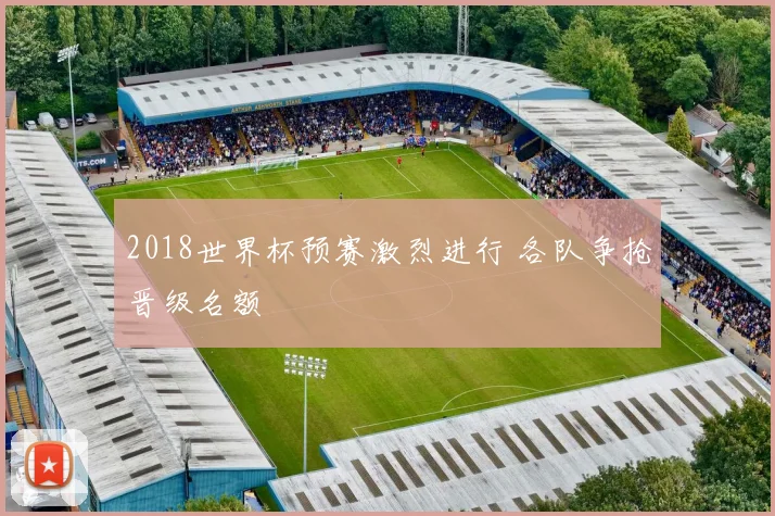 2018世界杯预赛激烈进行 各队争抢晋级名额