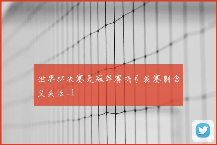 世界杯决赛是冠军赛吗引发赛制含义关注_1